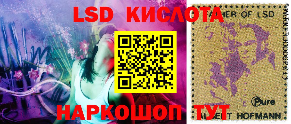 Наркотические марки 1500мкг Каменка