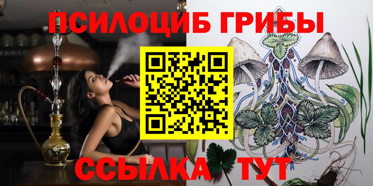 Галлюциногенные грибы GOLDEN TEACHER Каменка