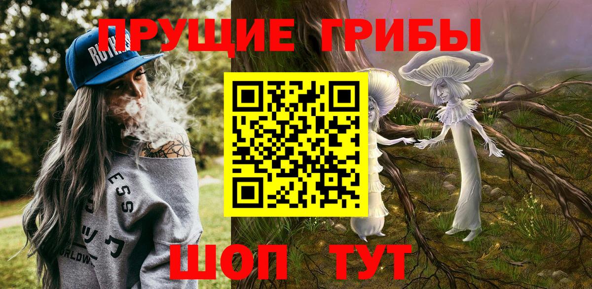 Каменка  Галлюциногенные грибы ЛСД  магазин продажи   Вход с VPN  Псилоцибиновые грибы Magic Shrooms 